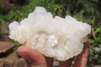 Natural Clear Quartz Clusters x 6 From Madagascar