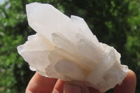 Natural Clear Quartz Clusters x 6 From Madagascar