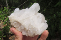 Natural Clear Quartz Clusters x 6 From Madagascar