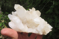 Natural Clear Quartz Clusters x 6 From Madagascar