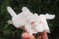 Natural Clear Quartz Clusters x 6 From Madagascar