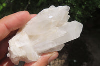 Natural Clear Quartz Clusters x 6 From Madagascar