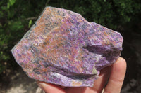 Natural Stichtite Cobbed Specimens x 12 From Barberton, South Africa