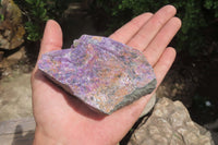 Natural Stichtite Cobbed Specimens x 12 From Barberton, South Africa