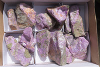 Natural Stichtite Cobbed Specimens x 12 From Barberton, South Africa