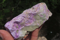 Natural Stichtite Cobbed Specimens x 12 From Barberton, South Africa