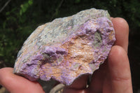 Natural Stichtite Cobbed Specimens x 12 From Barberton, South Africa