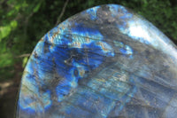 Polished Labradorite Standing Free Form x 1 From Tulear, Madagascar