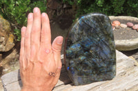 Polished Labradorite Standing Free Form x 1 From Tulear, Madagascar