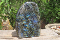 Polished Labradorite Standing Free Form x 1 From Tulear, Madagascar