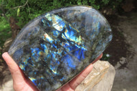 Polished Labradorite Standing Free Form x 1 From Tulear, Madagascar