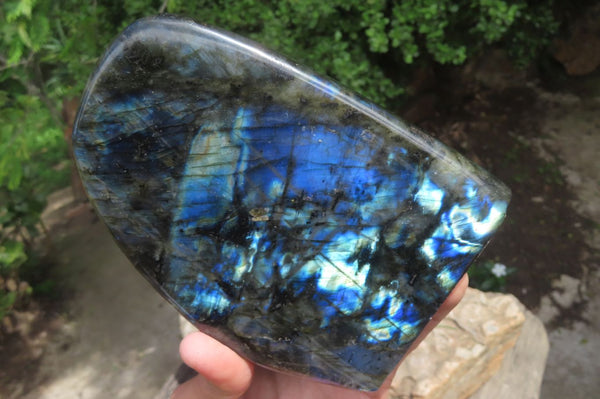 Polished Labradorite Standing Free Form x 1 From Tulear, Madagascar