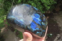 Polished Labradorite Standing Free Form x 1 From Tulear, Madagascar