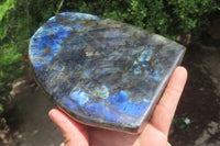 Polished Labradorite Standing Free Form x 1 From Tulear, Madagascar