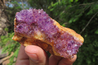 Natural Amethystos Amethyst Specimens x 12 From Kwaggafontein, South Africa