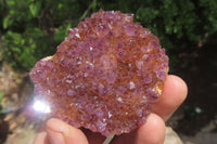 Natural Amethystos Amethyst Specimens x 12 From Kwaggafontein, South Africa