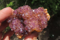 Natural Amethystos Amethyst Specimens x 12 From Kwaggafontein, South Africa