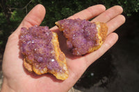 Natural Amethystos Amethyst Specimens x 12 From Kwaggafontein, South Africa