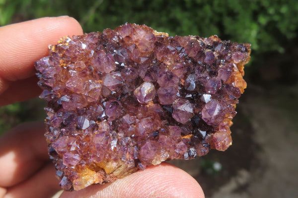 Natural Amethystos Amethyst Specimens x 12 From Kwaggafontein, South Africa