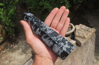 Polished Gabbro / Merlinite Points x 2 From Madagascar