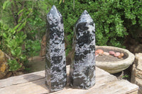 Polished Gabbro / Merlinite Points x 2 From Madagascar