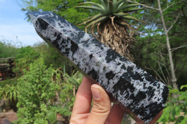 Polished Gabbro / Merlinite Points x 2 From Madagascar