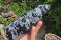 Polished Gabbro / Merlinite Points x 2 From Madagascar