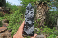 Polished Gabbro / Merlinite Points x 2 From Madagascar