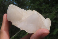 Natural Candle Quartz Clusters x 6 From Madagascar