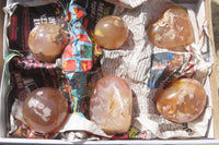 Polished Flower Agate Items x 6 From Madagascar