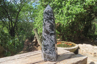 Polished Gabbro / Merlinite Tower x 1 From Madagascar