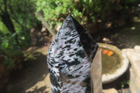 Polished Gabbro / Merlinite Tower x 1 From Madagascar