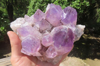 Natural Jacaranda Amethyst Quartz Cluster x 1 from Mumbwa, Zambia