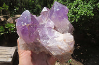 Natural Jacaranda Amethyst Quartz Cluster x 1 from Mumbwa, Zambia