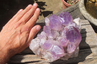 Natural Jacaranda Amethyst Quartz Cluster x 1 from Mumbwa, Zambia