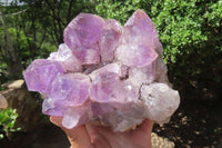 Natural Jacaranda Amethyst Quartz Cluster x 1 from Mumbwa, Zambia