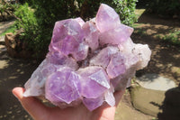 Natural Jacaranda Amethyst Quartz Cluster x 1 from Mumbwa, Zambia