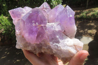 Natural Jacaranda Amethyst Quartz Cluster x 1 from Mumbwa, Zambia