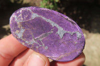 Polished On One Side Metallic Purpurite Specimens x 12 From Namibia