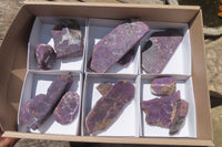 Polished On One Side Metallic Purpurite Specimens x 12 From Namibia