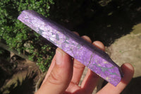 Polished On One Side Metallic Purpurite Specimens x 12 From Namibia