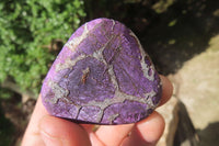 Polished On One Side Metallic Purpurite Specimens x 12 From Namibia