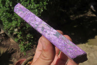 Polished On One Side Metallic Purpurite Specimens x 12 From Namibia