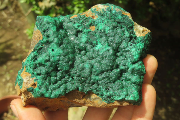 Natural Botryoidal Malachite Specimens x 3 From Tenke Fungurume, Congo