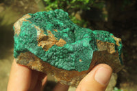 Natural Botryoidal Malachite Specimens x 3 From Tenke Fungurume, Congo