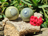 Polished African Banded Butter Jade Sphere-Balls - Sold Per Item - From Bronkhorstspruit, South Africa