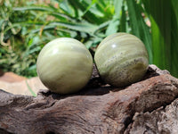 Polished African Banded Butter Jade Sphere-Balls - Sold Per Item - From Bronkhorstspruit, South Africa