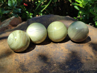 Polished African Banded Butter Jade Sphere-Balls - Sold Per Item - From Bronkhorstspruit, South Africa