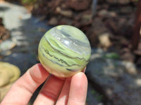 Polished African Banded Butter Jade Sphere-Balls - Sold Per Item - From Bronkhorstspruit, South Africa