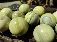 Polished African Banded Butter Jade Sphere-Balls - Sold Per Item - From Bronkhorstspruit, South Africa